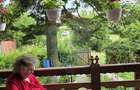 Domeniu rural, gospodarie/multifunctionala cu casa, livada, vie - 29