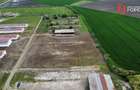 Teren intravilan cu suprafata de 58.340 mp, in Sanmartinul Sarbesc