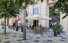 Spatiu comercial 227Mp Decebal Cu Terasa Disp Imediat - 1