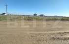 Lot 2 parcele intravilan, Metro, 3168 mp, acces la utilitati - 5