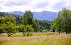 Teren intravilan plat in Bran, 1000 mp, vedere către Bucegi, utilitati - 3