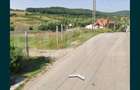 Teren intravilan de 950 mp - Archia, DEVA - 2