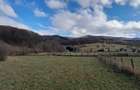 Teren Intravilan Ideal Pt Casa de Vacanta ,Valea Dobarlaului - 1