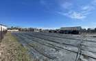 Teren Str. Livezilor - Mogosoaia - Comision 0% - 6