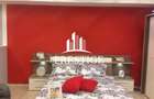 APARTAMENT 2 CAMERE, TERASĂ GENEROASĂ, ETAJ 2, TURNIȘOR - 4