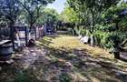 Vând casă 137mp și teren intravilan 5800mp în Supuru de Sus,jud.Satu Mare - 16