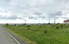 Anunturi vanzari in Costinesti zona Epava - 6