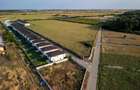 Case de vanzare - Corbeanca Complex Cherry Park 2 Faza a Doua - 33