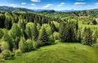  Bran Mountain Retreat, doar 3 case superbe la multe  - 7