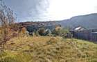 Teren Intravilan Bunloc - 7