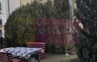 Vila de vânzare cu 8 camere și garaj in Busteni - 3