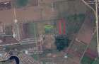 Teren - 10.000 mp Tunari - 1