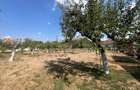 Teren intravilan de vanzare | Tileagd | jud. Bihor - 5