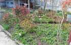 CASA 3 CAMERE SI CURTE - GIULESTI STRADA ARTARULUI - TEREN 296 MP - 8