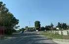 Ciolpani Dn1 stradal Petrom Mega Image Particular - 6