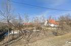 Salicea – teren intravilan 920 mp, front 28 m la doua strazi, utilitati - 1