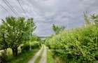 Teren in Cisnadie - intravilan - zona P+2, 50 eur/mp - 9