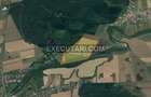 BALTA DOAMNEI PRAHOVA- TEREN - 11 HECTARE PADUREA GHERGHITA - 1