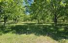 PROPRIETATE EXCEPTIONALA ,TEREN 33.161 MP + RESIDENTA P+1+M - 2