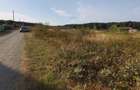Vanzare 1875 mp teren Snagov, langa padure, zona superba, toate utilitatile - 2