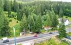 Teren Intravilan Predeal - Acces direct DN - Priveliste deosebita - 21