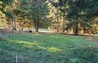 TEREN DE VANZARE - POIANA BRASOV - 8