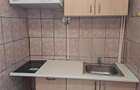 Pet friendly! Garsoniera cocheta de inchiriat, Tractorul, Brasov - 14