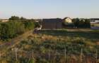 REL4001079 Teren intravilan Tamasi - Corbeanca 922 mp - toate utilitatile - 2 st - 6