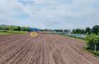 Teren- Com. Stefan cel Mare- jud. Neamt - 4