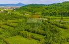 Teren 1ha Valea Glăjeriei - Rasnov | Comision 0% - 10