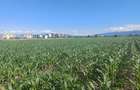 TEREN INTRAVILAN DE INVESTIȚIE – 47.000 MP - 5