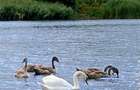 Teren intravilan 771 mp in Valea Lunga-Holboca - 7