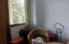 Vila Bucium cod 156392 - 14