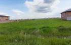 REL4000771 Teren Intravilan 13700 mp Clinceni - 6