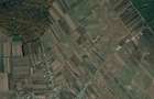 Vanzare teren Sabareni, 5.000 mp, langa Padurea de Tei - 1