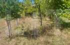 Teren intravilan 1.600 mp + constructie I Natura si liniste I Sita Buzaului - 9