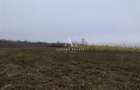Antony Estate | Vanzare Teren Intravilan,40 euro/mp,Paleu,Oradea - 3