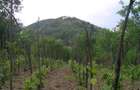 (307) Teren intravilan Calinesti – sat Carstieni, jud. Arges / Direct proprietar - 9