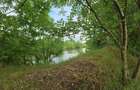 Domeniu de 13.054 mp cu vilă de ~1.000mpc și lac privat Teisori, Bulbucata - 17