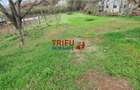 Teren de vanzare zona Micesti 1436mp - 1