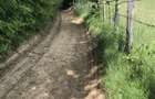 Vand teren in Albestii de Muscel faneata-pasune, partial impadurit - 9