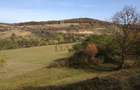 Teren extravilan de vanzare 1.125 mp Două fronturi Zona Gusterita - 2