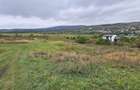 0 % comision, 5 parcele de teren, str Ionel Perlea-Borhanci - 2