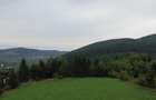 TEREN PREMIUM 5.023 MP ÎN VORONEȚ | BUCOVINA | ZONA MĂNĂSTIR - 2