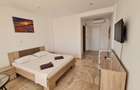CASA BELLEVUE COSTINESTI - 11