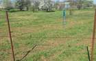 Dragomiresti- Vale, str Nucilor, teren intravilan 2.262mp. - 11