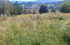 Teren intravilan de vanzare, 5872 mp, pe strada Chilia-Vatra Dornei