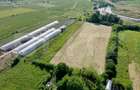 Teren EV și IV cu casă, 29.600 mp, utilități și acces facil, Albești - 4