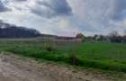DE VANZARE TEREN 3400 MP IN SAT PODU ILFOVAT / COM BUTURUGENI (GR) - 14