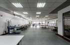 Oportunitate: Hală de producție și depozitare cu birouri în Arad - 5